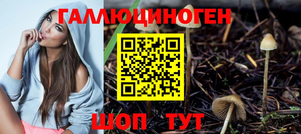 Галлюциногенные грибы мицелий Бахчисарай