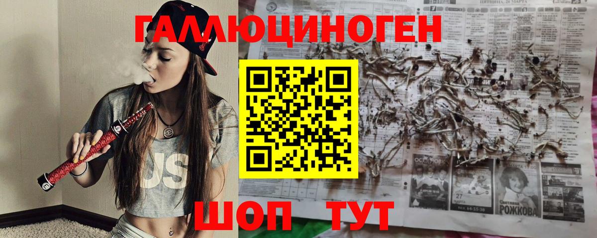 Галлюциногенные грибы GOLDEN TEACHER  Псилоцибиновые грибы Psilocybine cubensis  Вход с VPN  Бахчисарай 